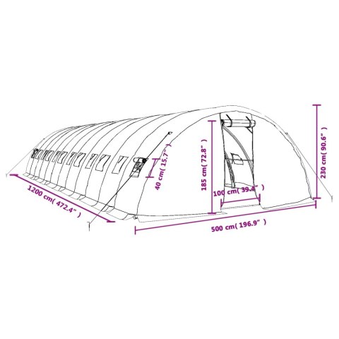  Szklarnia ze stalową ramą, zielona, 60 m², 12x5x2,3 m