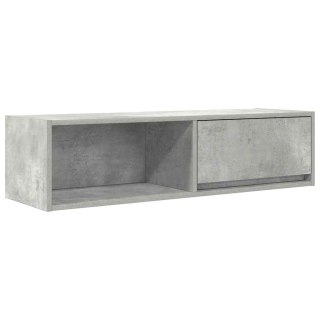  Szafka RTV Beton Szary 100x31x25,5 cm Drewno klejone