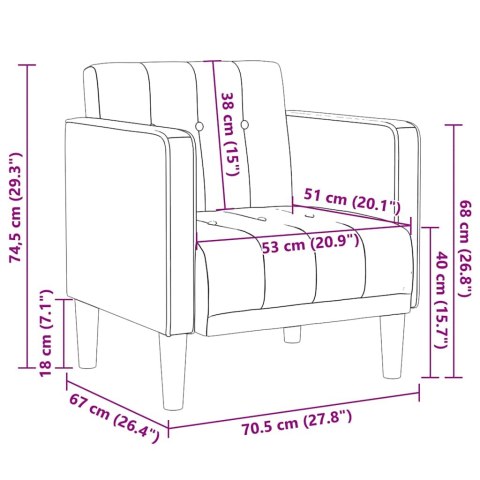 VidaXL Sofa Fotel z Podłokietnikami Czarny 53 cm Aksamit