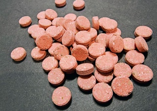 Tabletki przyczepne do akwarium dla ryb tropikalnych i dennych