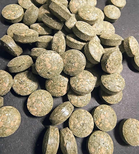 Pokarm w tabletkach dla ryb akwariowych