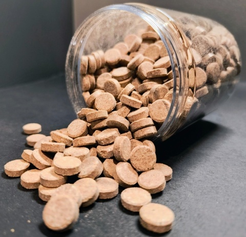 Tabletki PRZYCZEPNE dla ryb akwariowych