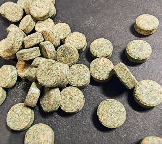 Tabletki ze spiruliną do akwarium – karma dla ryb tropikalnych i dennych