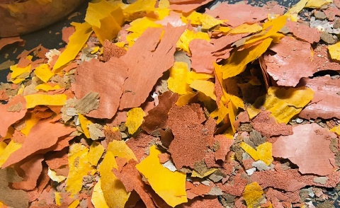 Zestaw pokarmu dla ryb akwariowych i stawowych Spirulina Goldfish Tropical