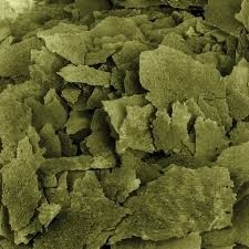 Zestaw pokarmu dla ryb akwariowych i stawowych Spirulina Goldfish Tropical