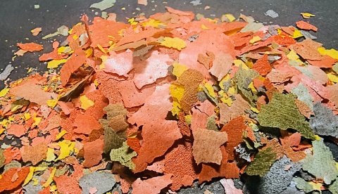 Zestaw płatków dla ryb akwariowych Spirulina Goldfish Tropical