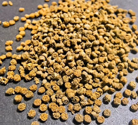 Zestaw pokarmów dla pielęgnic i ryb tropikalnych Granulki wolnoopadające