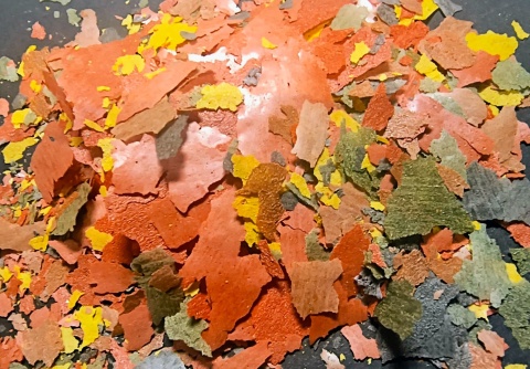 Zestaw pokarmu dla ryb akwariowych i stawowych Spirulina Goldfish Tropical