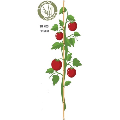 PODPORA DO ROŚLIN BAMBUSOWA TYCZKA 116 CM 10SZT PROGARDEN