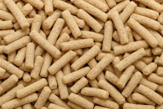 Pond Sticks Pokarm dla karpi i ryb hodowlanych