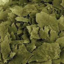 Spirulina flakes 30% płatki ze spiruliną dla ryb akwariowych