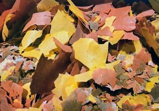 Zestaw pokarmów dla ryb akwariowych 3 rodzaje płatków Spirulina tropical