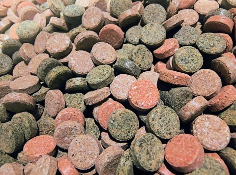 Zestaw pokarmu dla ryb akwariowych 5 słoików Granulat Tabletki Spirulina