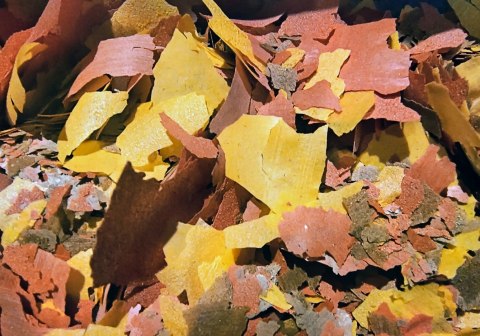 Zestaw pokarmu dla ryb akwariowych i stawowych Spirulina Goldfish Tropical