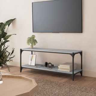  Szafka pod TV, szary dąb sonoma, 100x33x41 cm