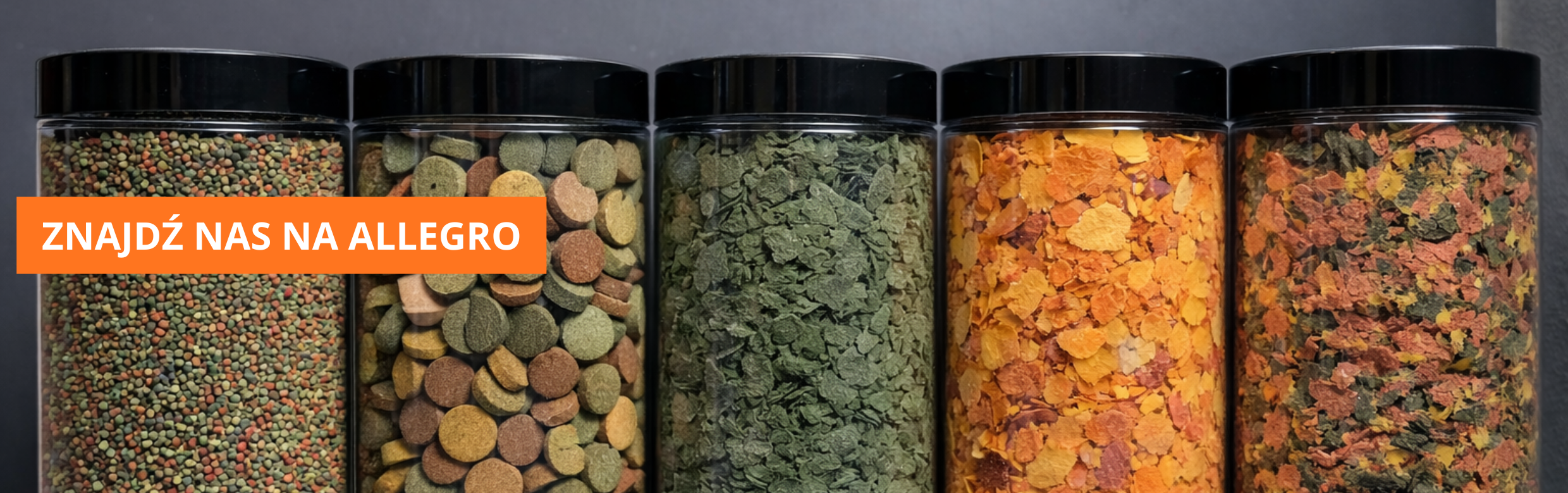 ZNAJDZ-NAS-NA-ALLEGRO-1-(1).png